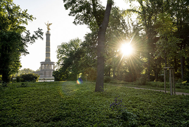 tiergarten.jpg